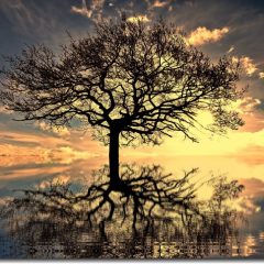 Arte-Quadro-Quadros-Decorativos-Arvore-da-Vida-para-Sala-1-peC3A7a-2550-166425-1