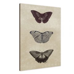Galeria-Quadros-Placa-Decorativa-28400022-Borboleta-Colorido-7335-968514-1